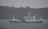 Havglans.jpg Havglans.jpg